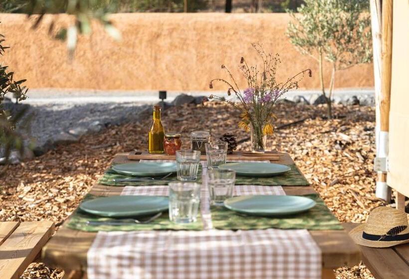 Standard Tent, Monte Flora Farmhouse