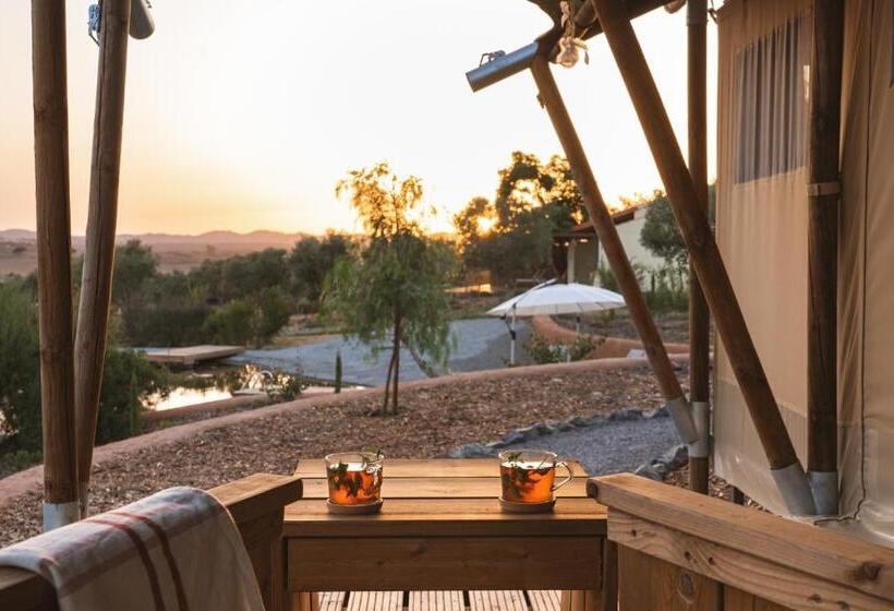Standard Tent, Monte Flora Farmhouse