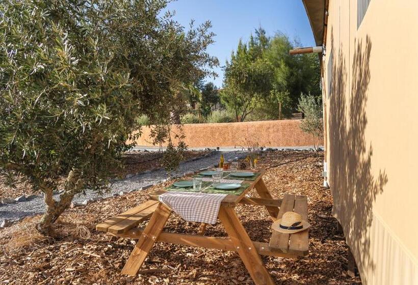 Standard Tent, Monte Flora Farmhouse