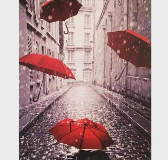 스탠다드 룸, Bella S Palace 2 Bedrooms Lower Level Unit In Town Home With Separate Entrance