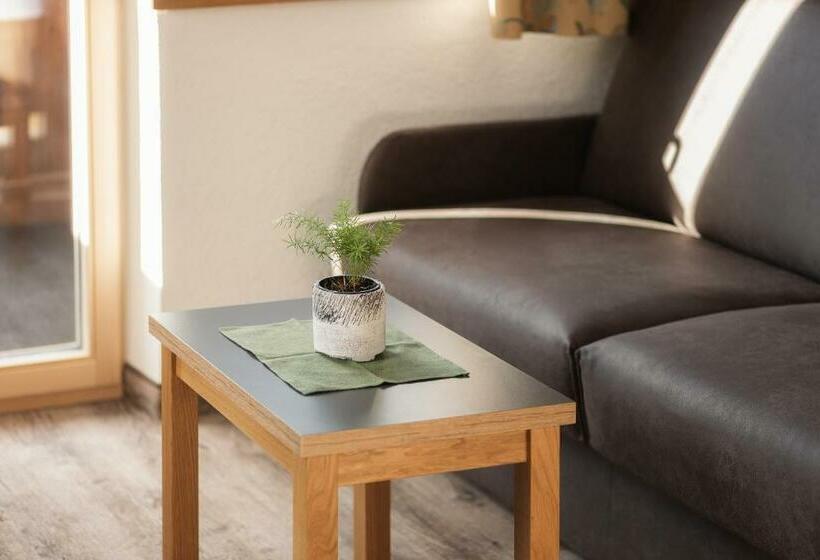 スタンダードルーム, Appartement Platzergasse