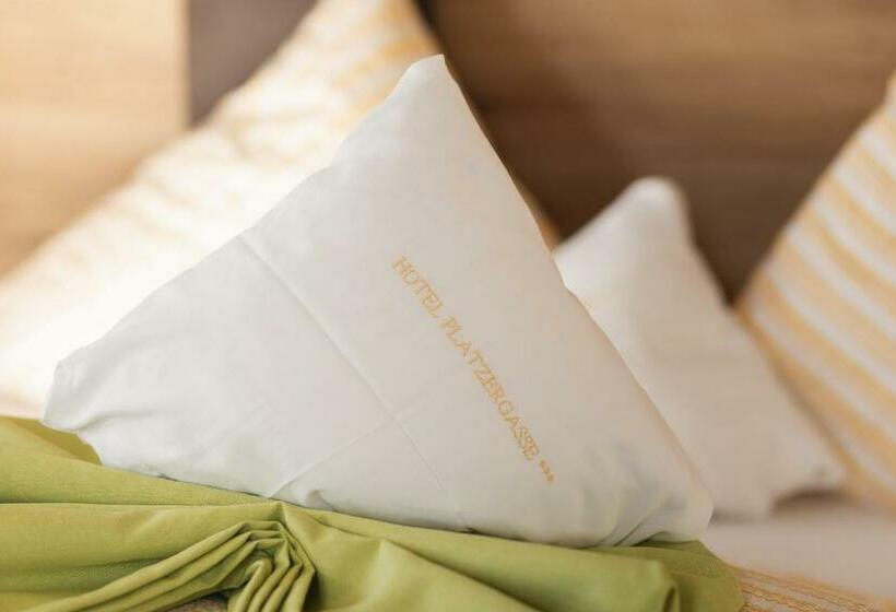 标准间, Appartement Platzergasse