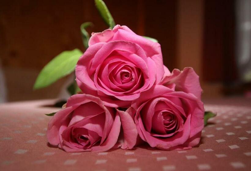 Номер Стандарт Индивидуальный с Балконом, Gasthof Zur Mühle