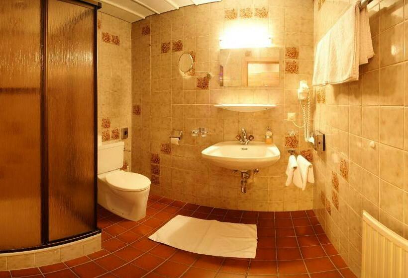 شقة غرفة واحدة, Kinderhotel Lärchenhof