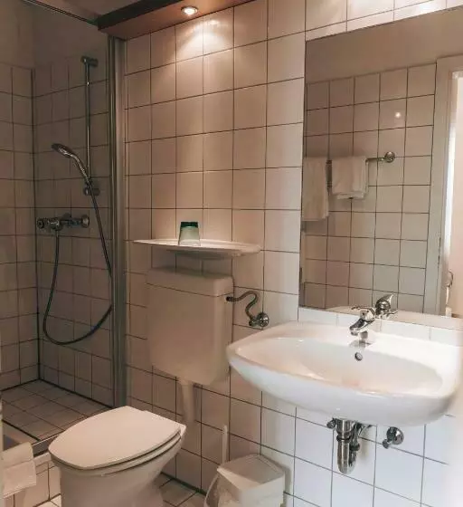Standard Single Room, Restaurant Römerhof