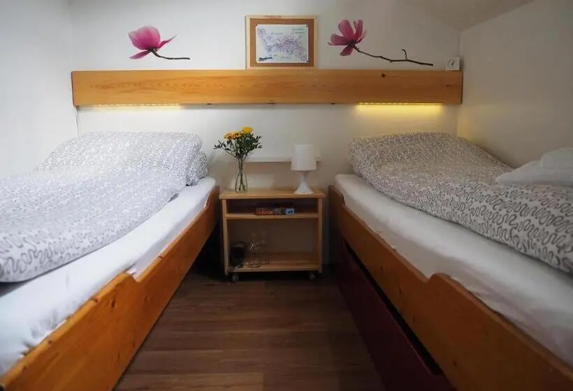 اتاق استاندارد, Boat Allure Groningen