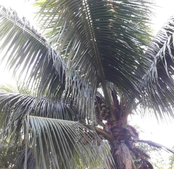 اتاق استاندارد با چشم‌انداز باغ, Crystal Guest House