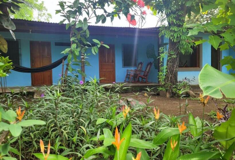 标准三人间, Hostal Xilotl