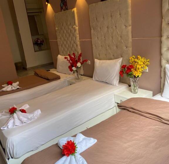 اتاق لوکس سه تخته, La Vida