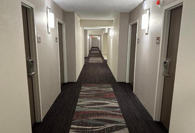 스탠다드 룸 킹사이즈 침대, Red Roof Inn Charleston   Dunbar