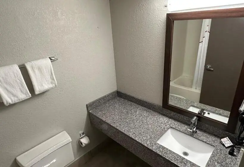 Standard-huone King-vuode, Red Roof Inn Charleston   Dunbar