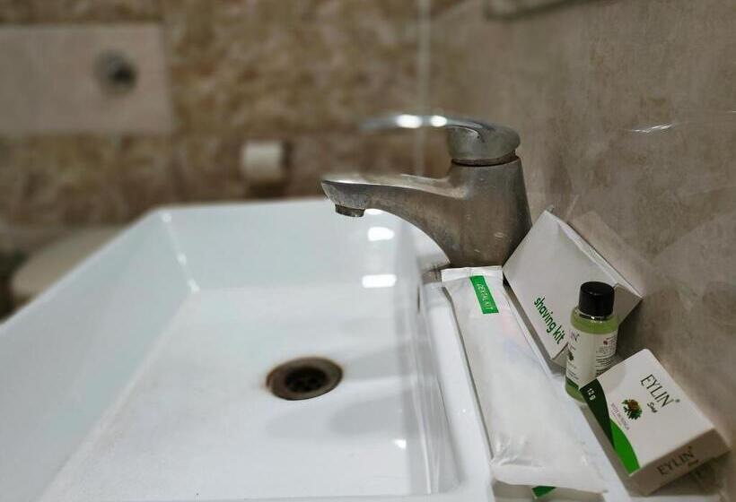 جناح سوبيريور, Steam