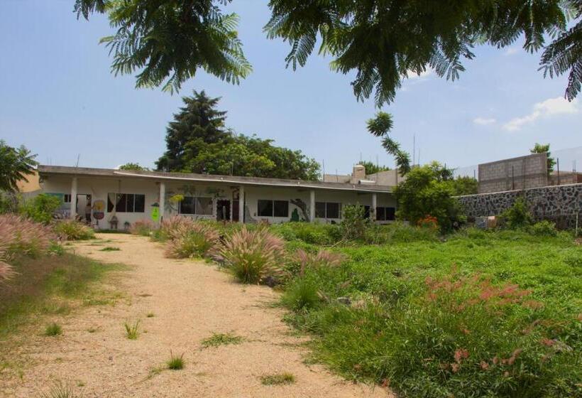 غرفة قياسية مطلّة علي الحديقة, Casa De Huespedes Colmena