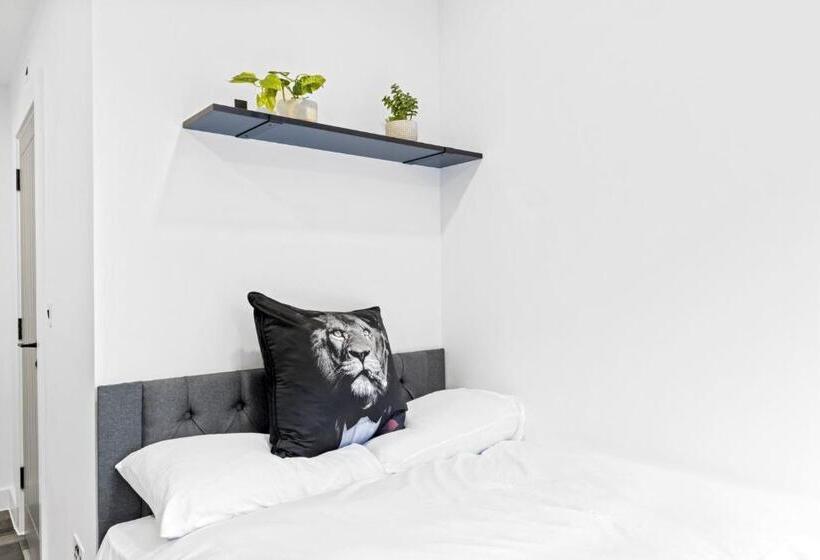 스탠다드 스튜디오, Graduation Studios