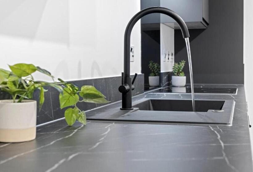 스탠다드 스튜디오, Graduation Studios