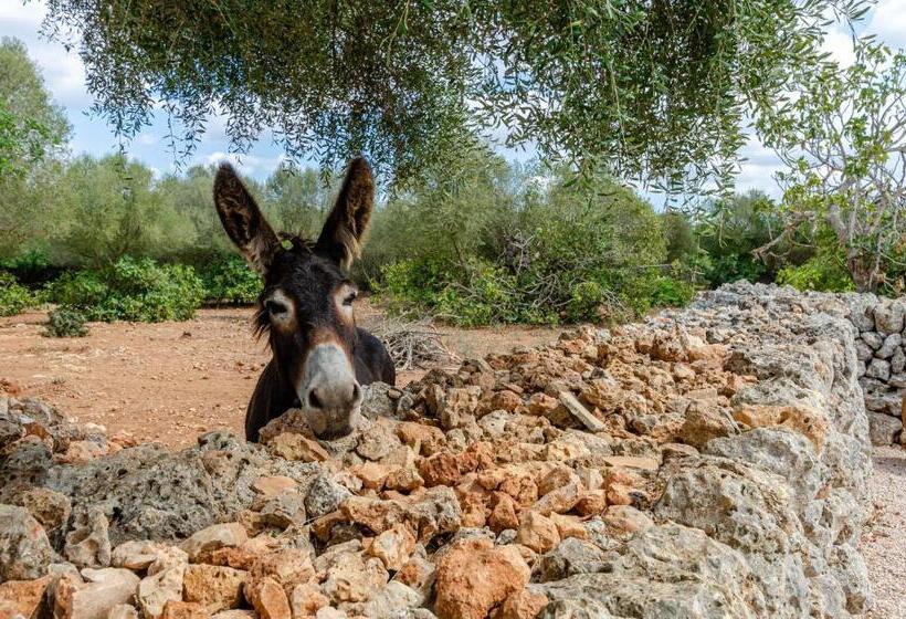 منزل غرفة نوم واحدة, Agroturismo Cal Tio 3 Yourhouse