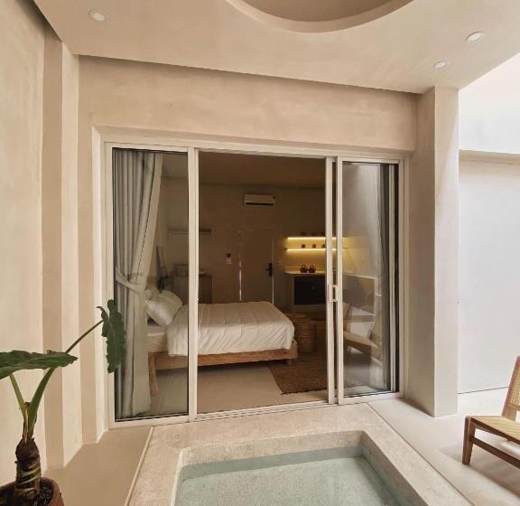 سوئیت جونیور با استخر, Ambergris