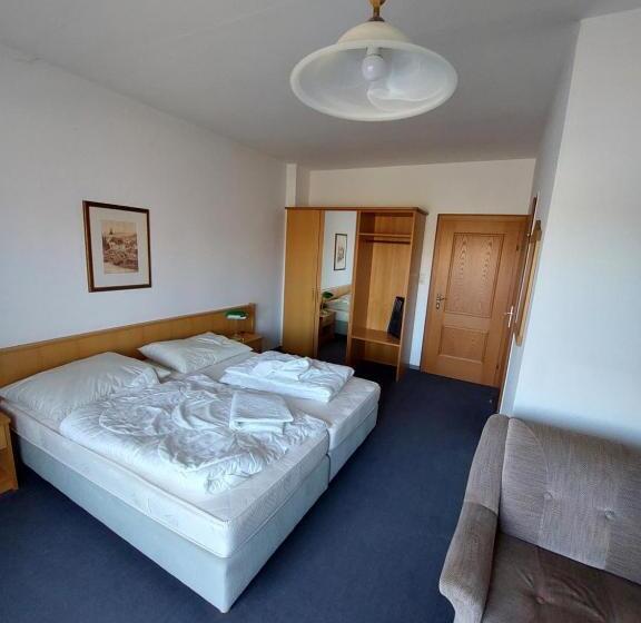 חדר סטנדרט, Pension Schager