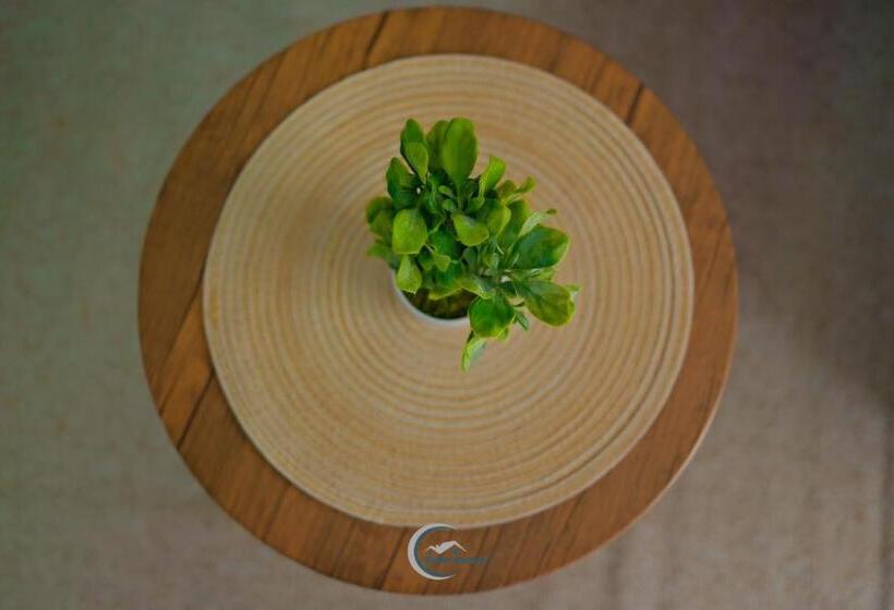 اتاق لوکس, Rinkase Residence