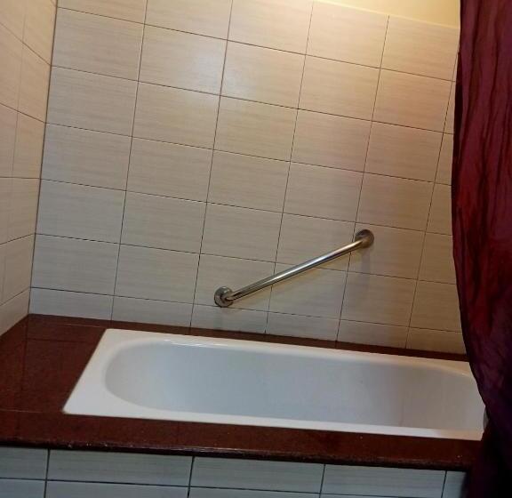 آپارتمان 1 خوابه با چشم‌انداز, Apo 201 Alta Vista De Boracay