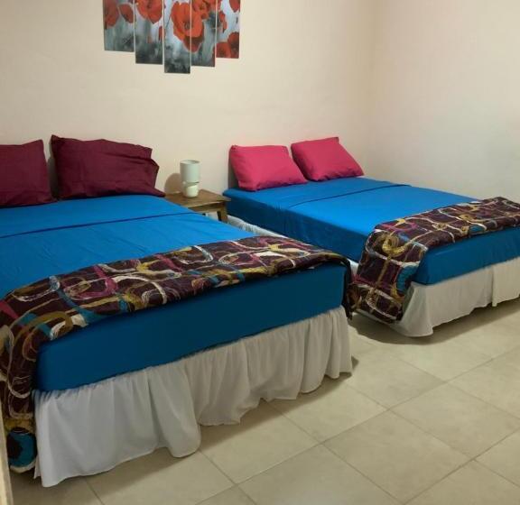 اتاق استاندارد, La Dolce Vita Francophone