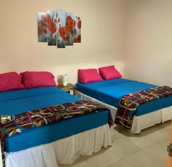 اتاق خانوادگی, La Dolce Vita Francophone