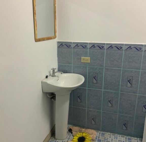 اتاق اکونومی, La Dolce Vita Francophone