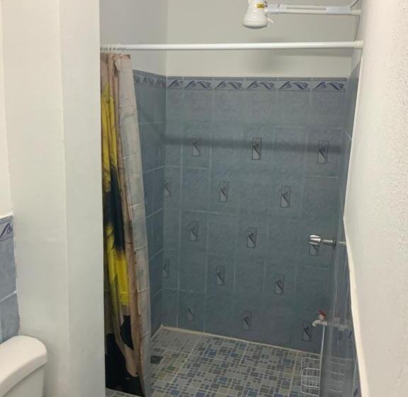 اتاق اکونومی, La Dolce Vita Francophone