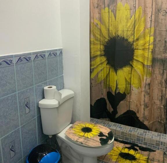 اتاق استاندارد, La Dolce Vita Francophone