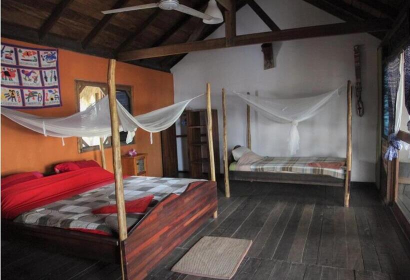 标准间, Fantas Folly Beach Lodge