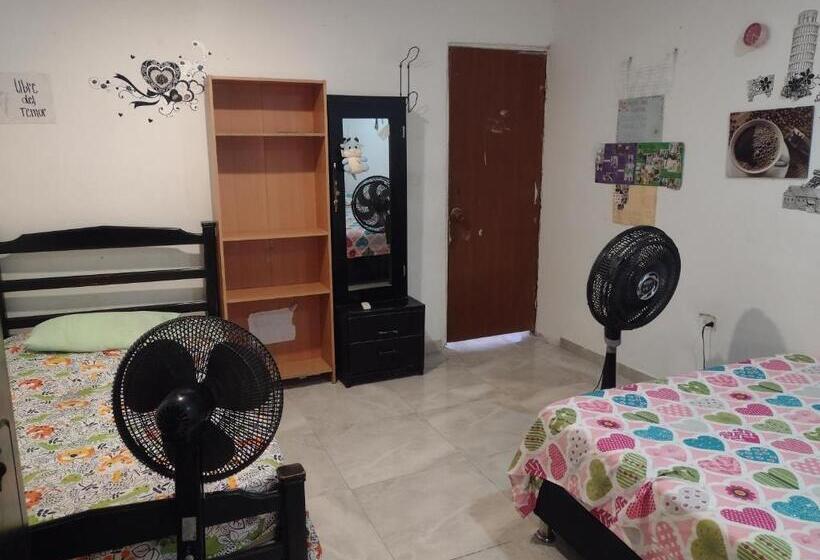 اتاق استاندارد با سرویس بهداشتی مشترک, El Nevado