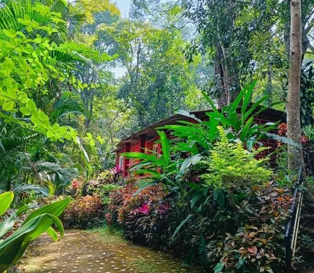 スタンダードルーム, White Water Resort Dandeli