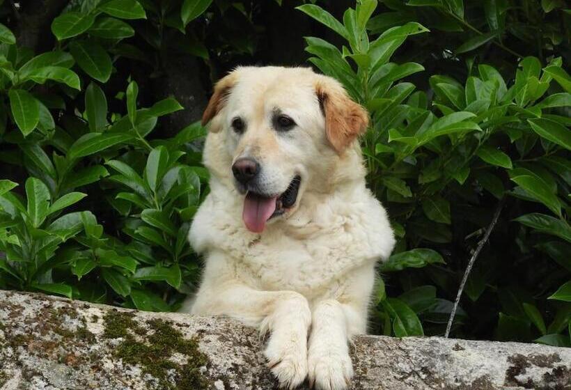 带2个卧室的别墅, 14th Century Priory In Pressigny