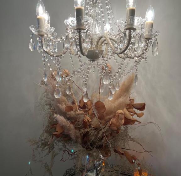 غرفة قياسية, Hello Grace