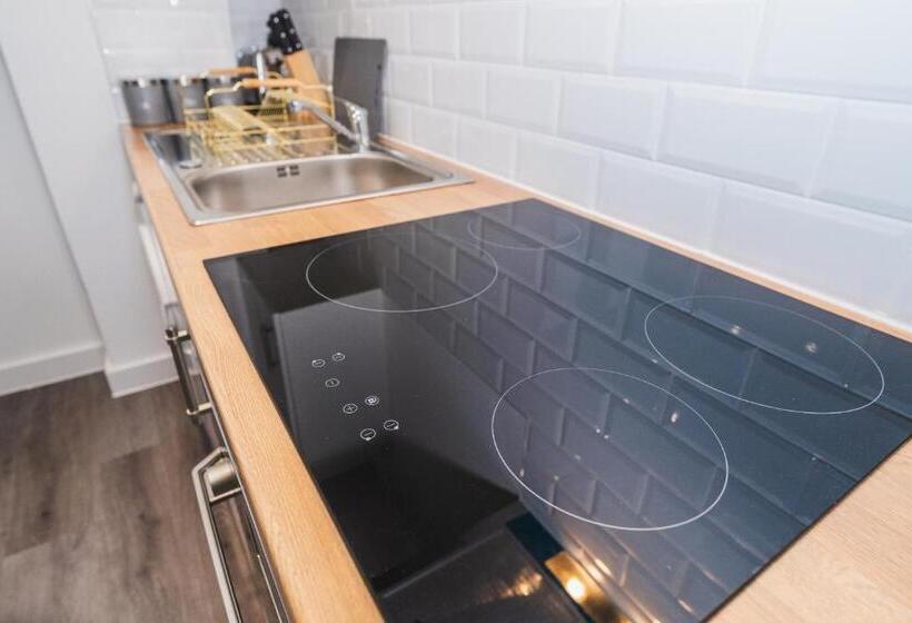 Апартаменты Superior 1 Спальня, Vichy The Thornhill Delux Apartments