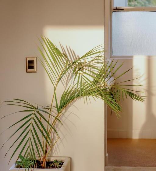 מיטת קינג בסוויטה, La Poza Boutique Hotel And Spa   Adults 15 Plus