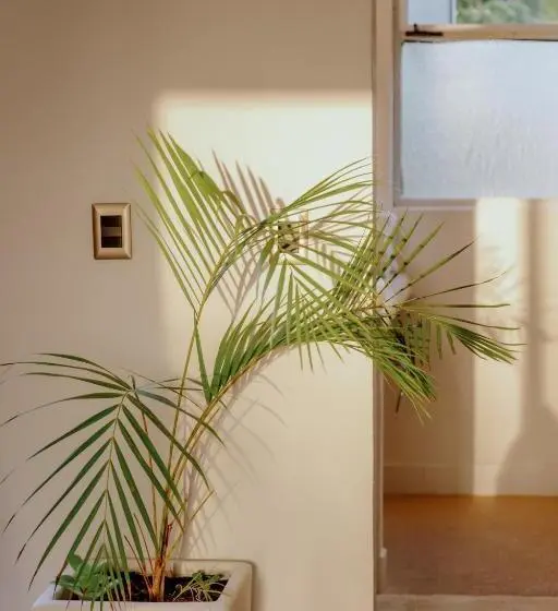キングサイズベッドのスイートルーム, La Poza Boutique Hotel And Spa   Adults 15 Plus