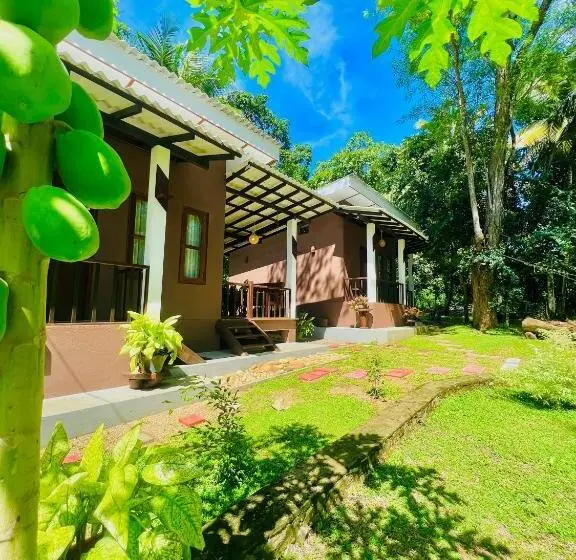 Standard-huone Puutarhanäkymä, Edenhaven Cottage