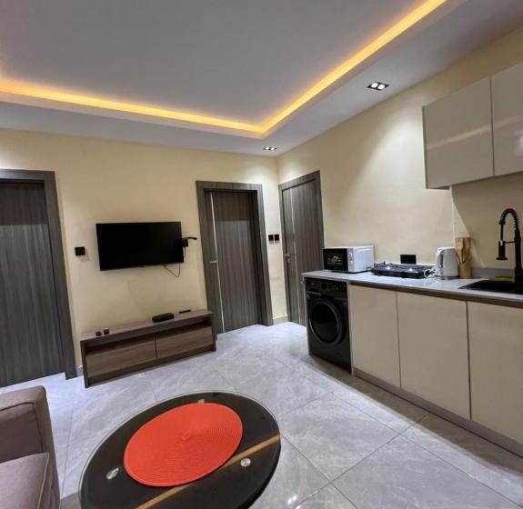 آپارتمان 1 خوابه با تراس, Proxilux Apartments