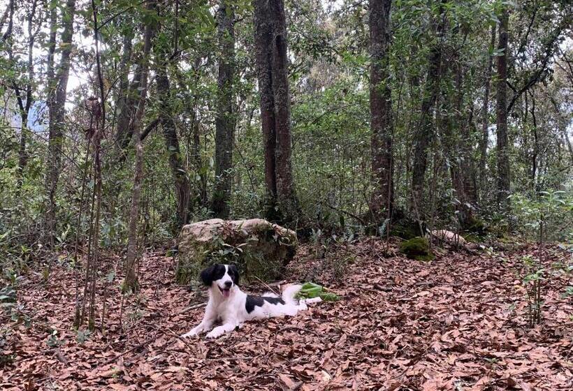 ４ベッドルームハウス, La Roca Glamping