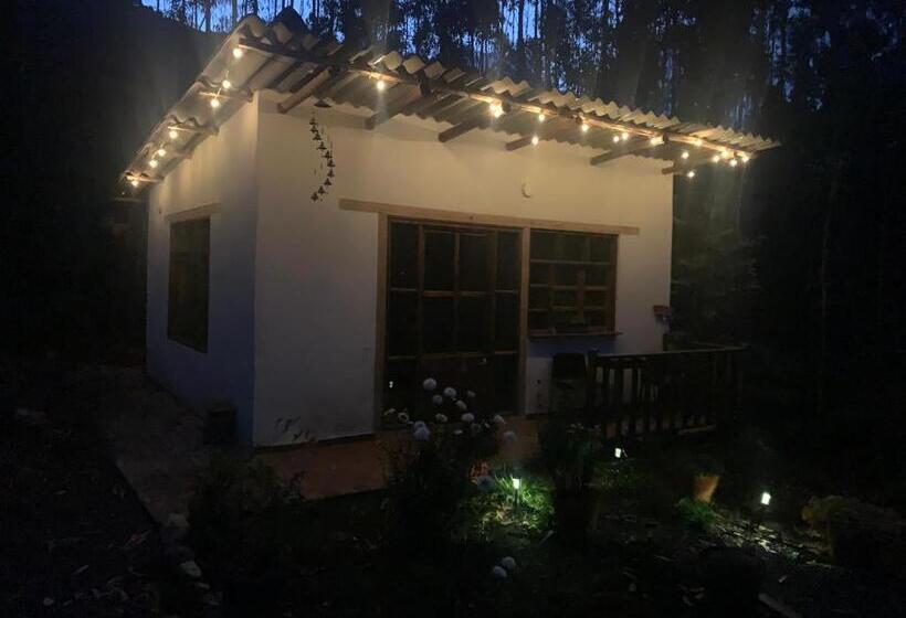 マウンテンビュースイート, La Roca Glamping