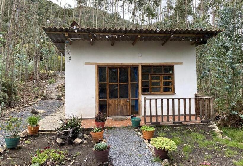 マウンテンビュースイート, La Roca Glamping