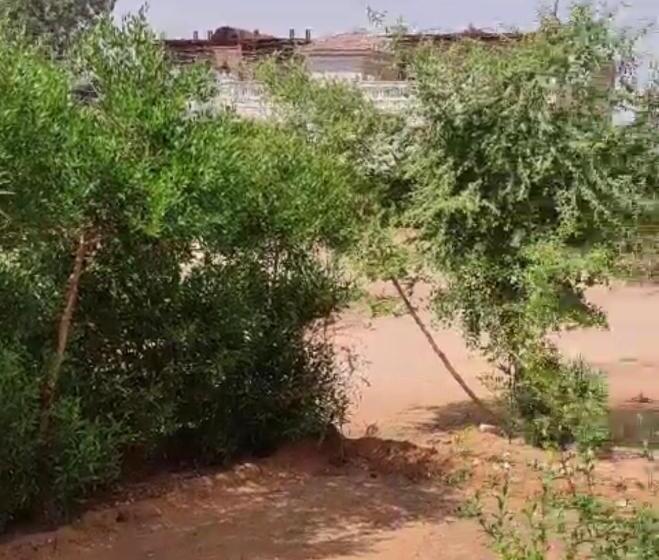 آپارتمان 3 خوابه, Banna House