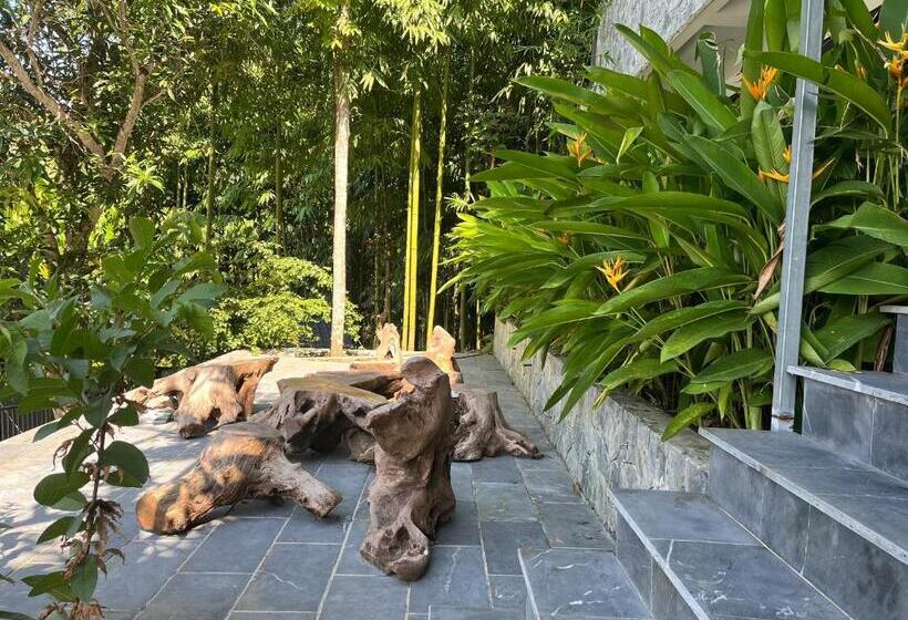 اتاق استاندارد, Lake House