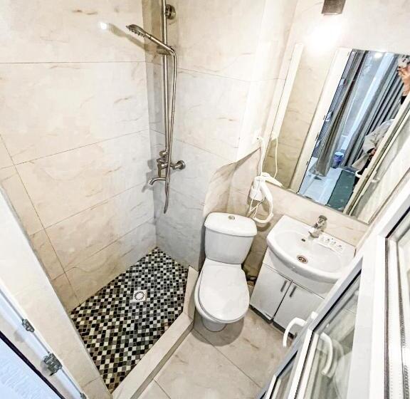 استودیوی استاندارد, Centralgreen Studio