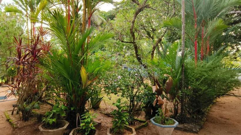 ルームシェアのワンベッド, Dutch Square Hostel