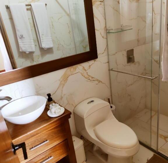 חדר סטנדרט, Literatium