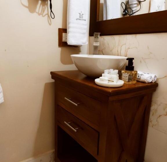 חדר סטנדרט, Literatium