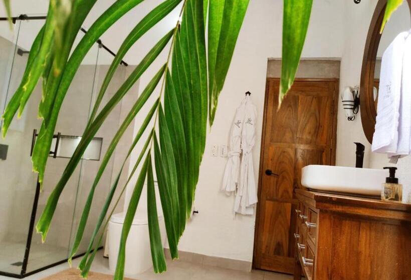 סוויטה דלוקס, Literatium