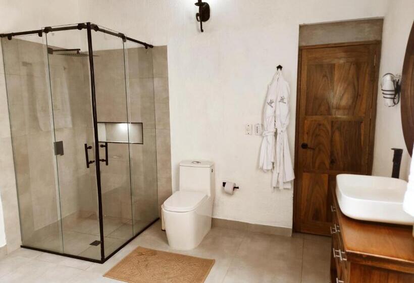 סוויטה דלוקס, Literatium